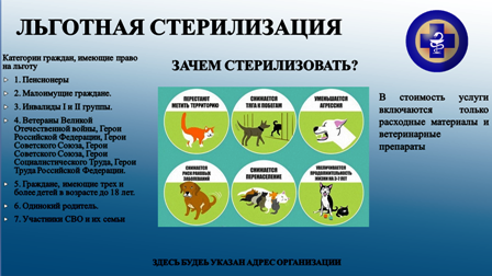 Гармонизация отношений безнадзорных животных и общества.